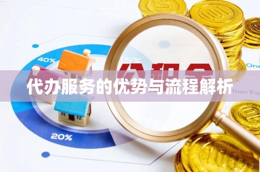 青龙代办服务的优势与流程解析