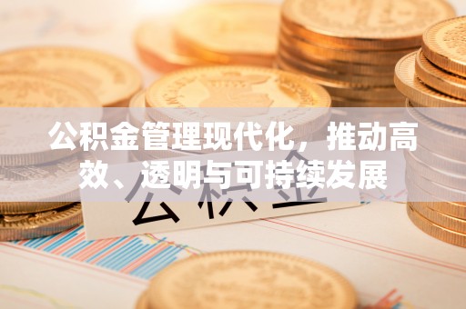 青龙公积金管理现代化，推动高效、透明与可持续发展