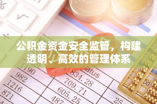 青龙公积金资金安全监管，构建透明、高效的管理体系