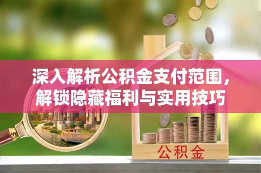 青龙深入解析公积金支付范围，解锁隐藏福利与实用技巧
